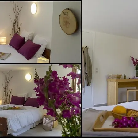 Wanakaset Pyrenees Orientales Villa *